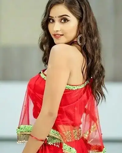 Call Girls Service Warud